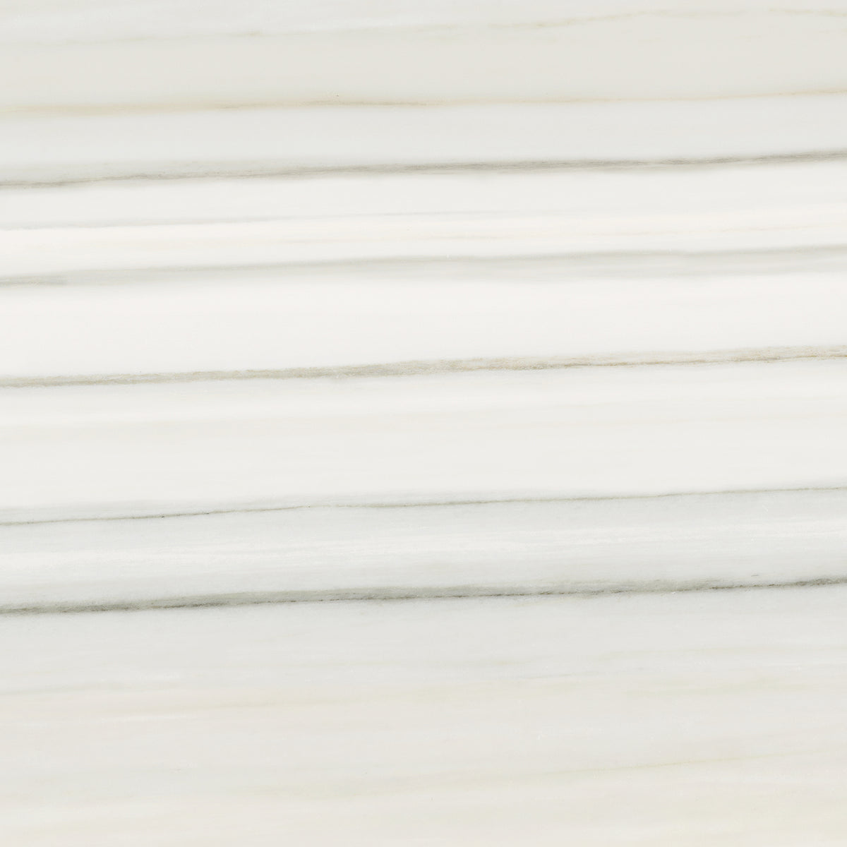 Cosmopolitan 16x32 Zebrino Matte Rectangle Tile Stone Products Unlimited