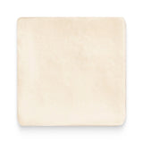 Revival 4x4 Off White Matte Square Tile