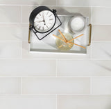 Forte 3.5x14.5 Beige Gobi Matte Rectangle Tile