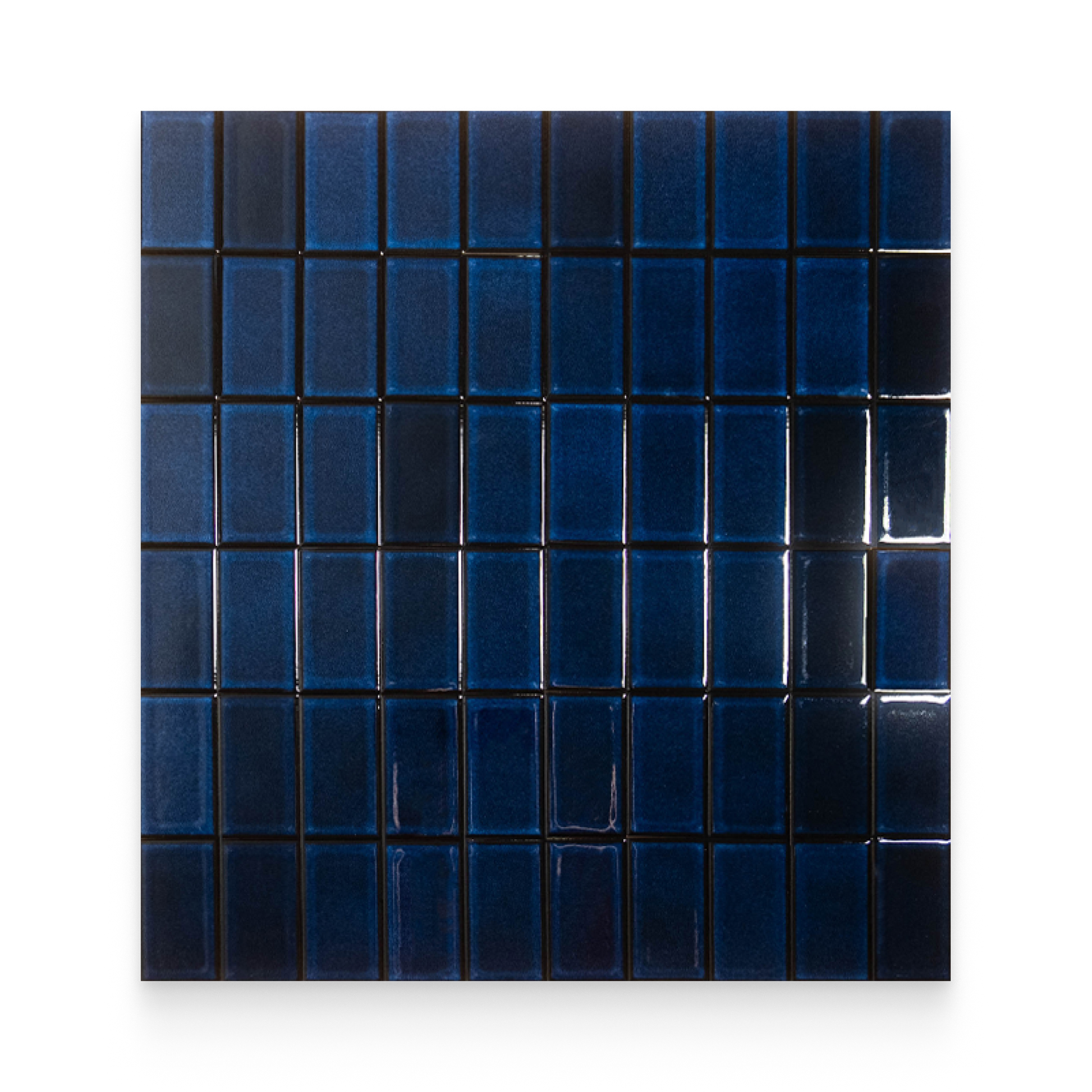 Koi 2.5x4.25 Ocean Glossy Rectangle Tile