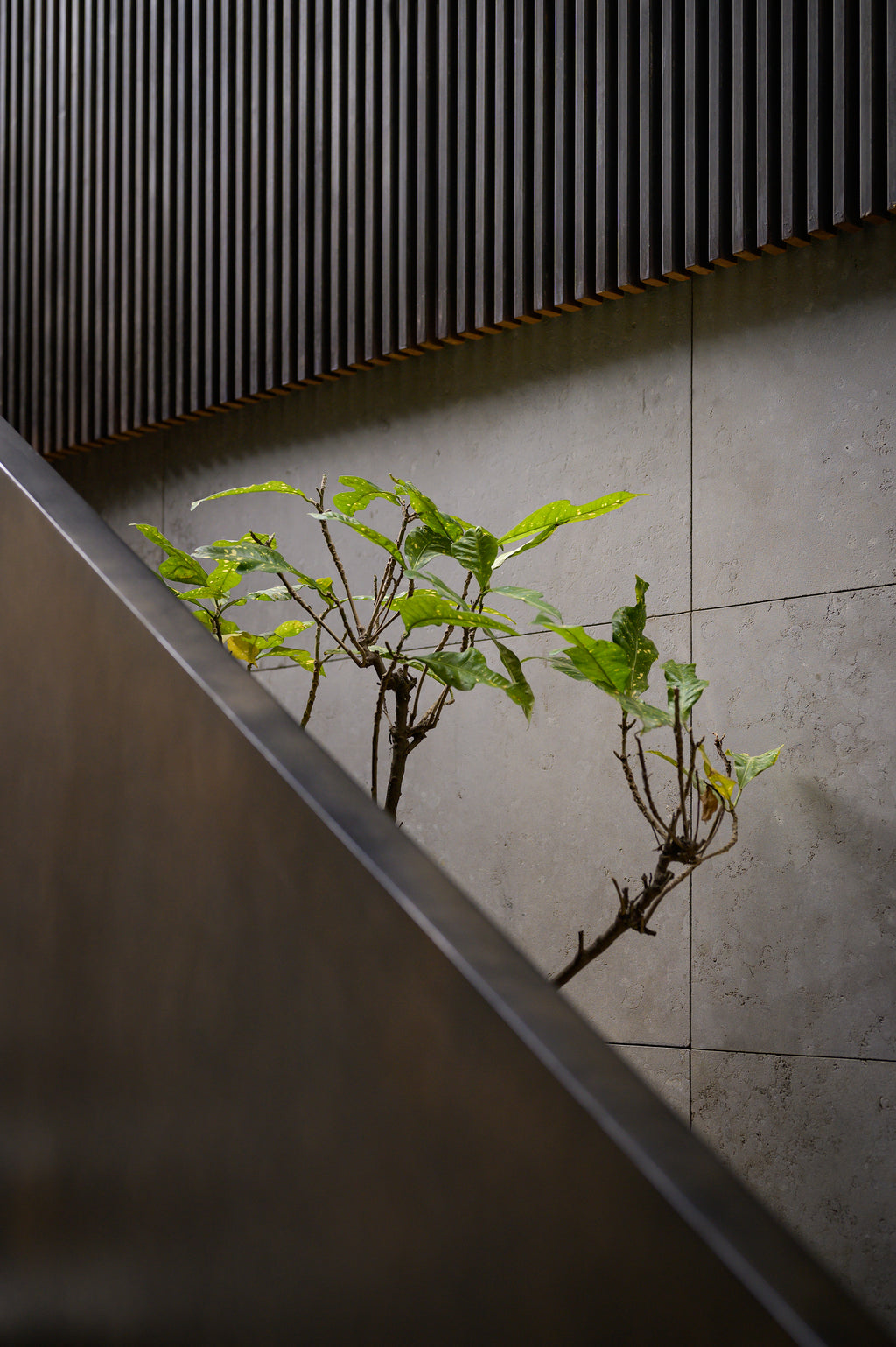 18x36 Layla Dark Textured Rectangle Tile