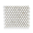 1x1 Daphne White Honed Penny Round Mosaic