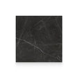 Riviera 24x24 Nero Venato Polished Square Tile