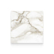Riviera 24x24 Calacatta Paonazzo Honed Square Tile