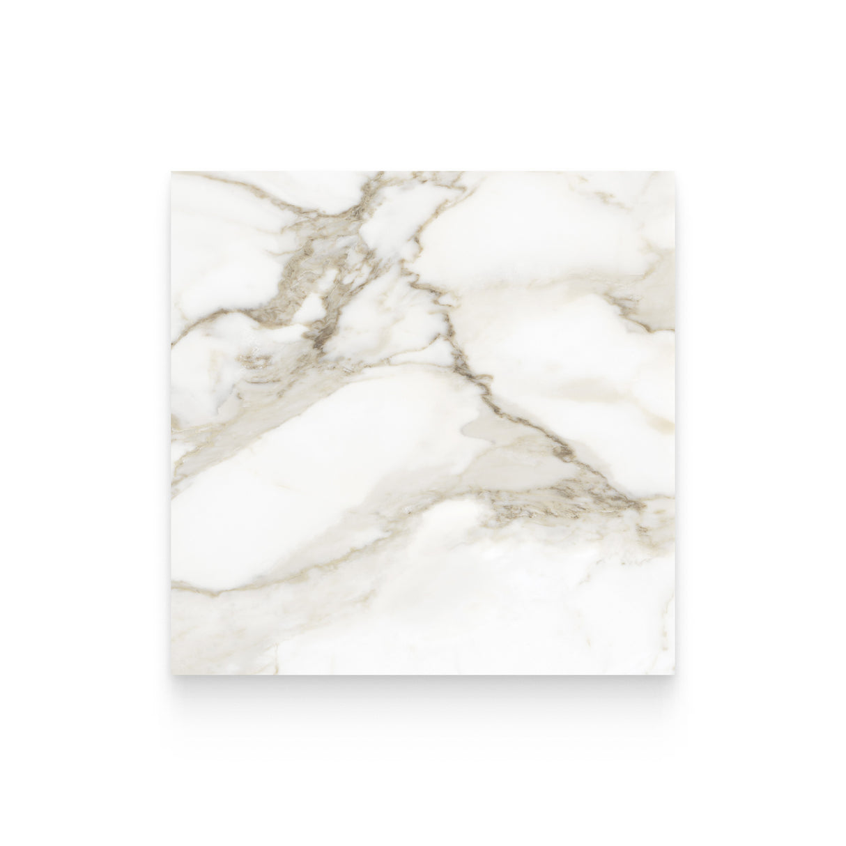 Riviera 24x24 Calacatta Paonazzo Honed Square Tile