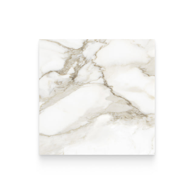 Riviera 24x24 Calacatta Paonazzo Honed Square Tile