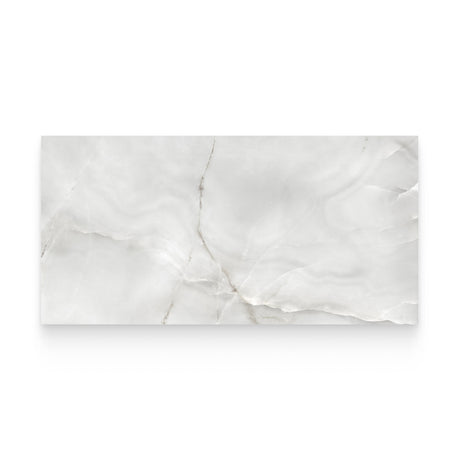 Riviera 24x48 Onyx Nuvolato Honed Rectangle Tile