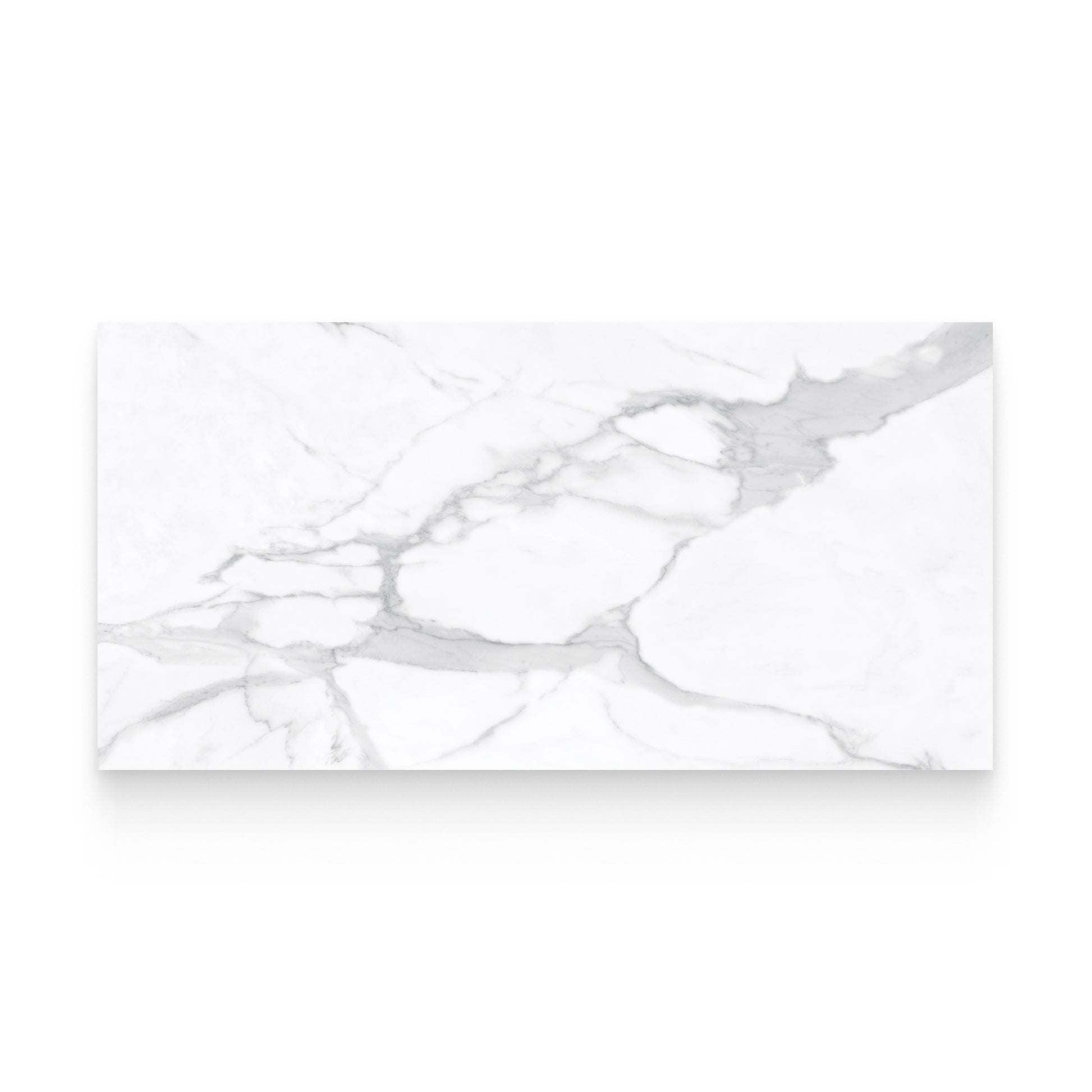 Riviera 24x48 Statuario Nuovo Honed Rectangle Tile