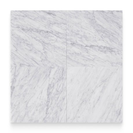 24x24 Carrara White Honed Square Tile